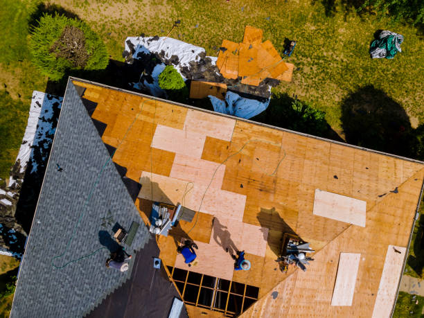 Best Metal Roofing Contractor  in Belmont, PA