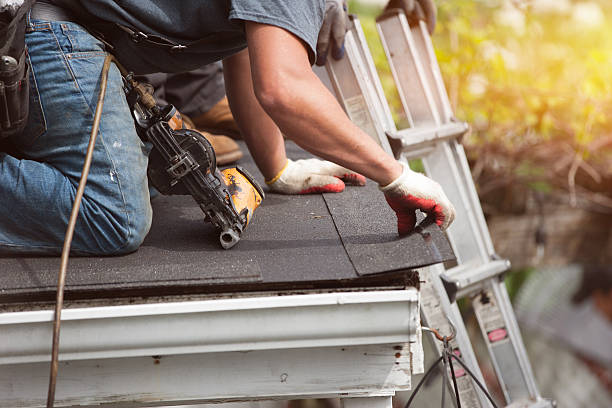 Best Roof Gutter Cleaning  in Belmont, PA