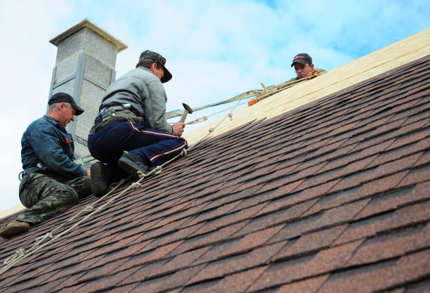 Best New Roof Installation  in Belmont, PA