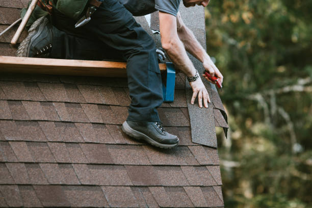 Best Roof Maintenance Services  in Belmont, PA